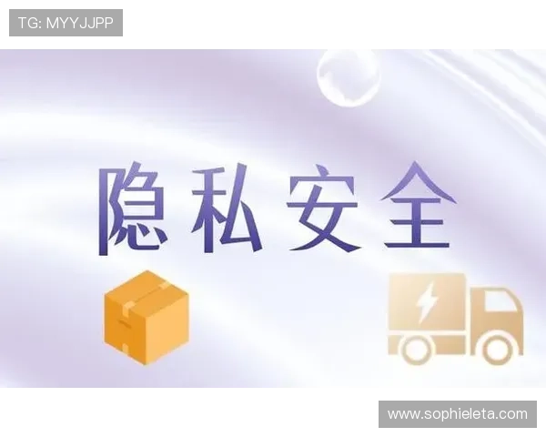 九游.com登录入口安全验证流程详解，保障玩家账号信息安全与隐私保护